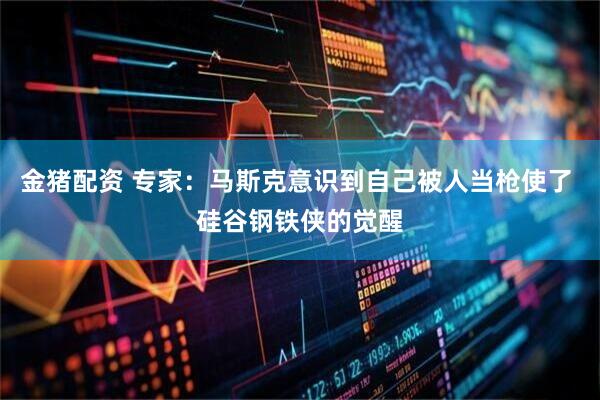 金猪配资 专家：马斯克意识到自己被人当枪使了 硅谷钢铁侠的觉醒