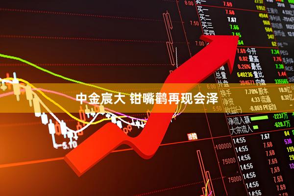 中金宸大 钳嘴鹳再现会泽