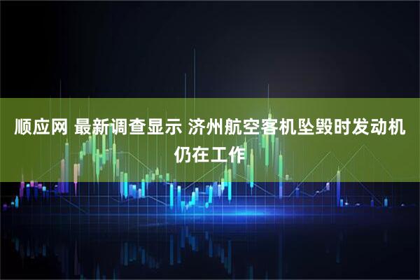 顺应网 最新调查显示 济州航空客机坠毁时发动机仍在工作