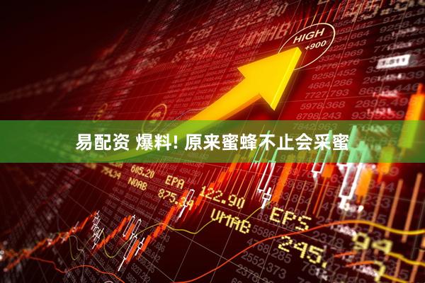 易配资 爆料! 原来蜜蜂不止会采蜜
